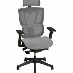 FlexiSpot C7 Ergonomic Mesh High-Back Office Chair, Black, C7BMESH