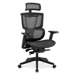 FlexiSpot C7 Ergonomic Mesh High-Back Office Chair, Black, C7BMESH