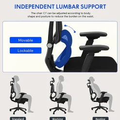 FlexiSpot C7 Ergonomic Mesh High-Back Office Chair, Black, C7BFOAM