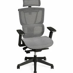 FlexiSpot C7 Ergonomic Mesh High-Back Office Chair, Black, C7BFOAM
