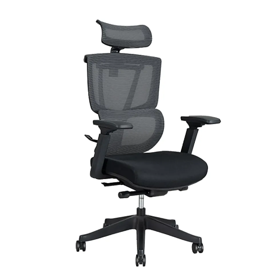 FlexiSpot C7 Ergonomic Mesh High-Back Office Chair, Black, C7BFOAM