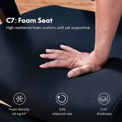 FlexiSpot C7 Ergonomic Mesh High-Back Office Chair, Black, C7BFOAM