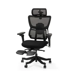 Flexispot C7 MAX Ergonomic Chair Foam & Mesh With Footrest, Black color