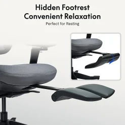 Flexispot C7 MAX Ergonomic Chair Foam & Mesh With Footrest, Black color