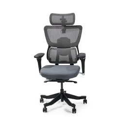FlexiSpot C7 MAX Ergonomic Foam Seat, Office Chair, Gray color