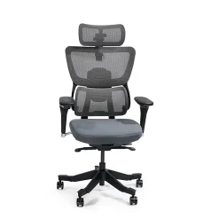 FlexiSpot C7 MAX Ergonomic Foam Seat, Office Chair, Gray color