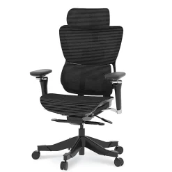 FlexiSpot C7 MAX Ergonomic Mesh Office Chair, Foam Seat in Black color