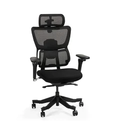 FlexiSpot C7 MAX,Ergonomic Mesh High-Back Office Chair, Foam Seat in Black,