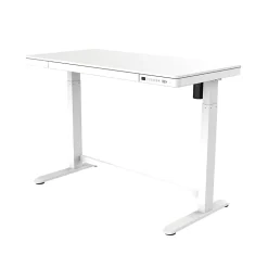 FlexiSpot Comhar Electric 48