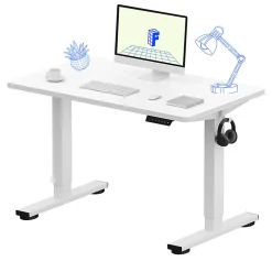 FlexiSpot E2 Electric 42