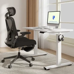 FlexiSpot E2 Electric 42