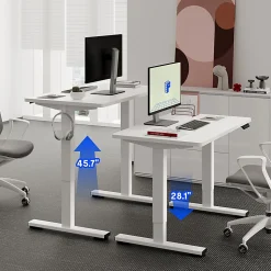 FlexiSpot E2 Electric 42
