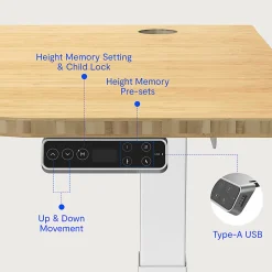 FlexiSpot E7 Electric 55