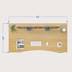 FlexiSpot E7 Electric 60