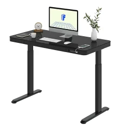 Flexispot EG9 48"W Electric Adjustable Height Standing Desk, Black