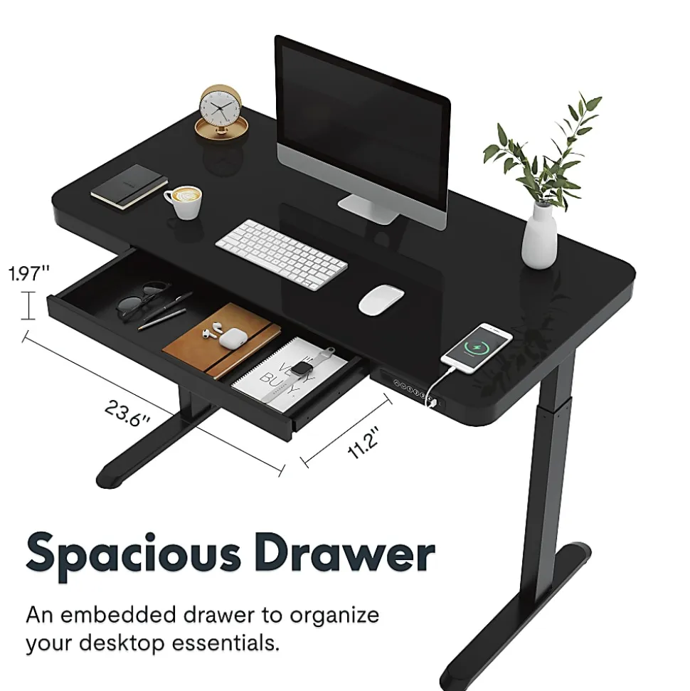 Flexispot EG9 48"W Electric Adjustable Height Standing Desk, Black