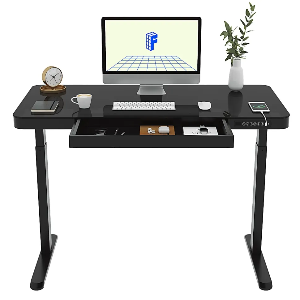 Flexispot EG9 48"W Electric Adjustable Height Standing Desk, Black