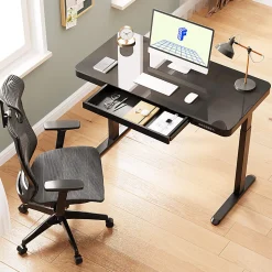Flexispot EG9 48