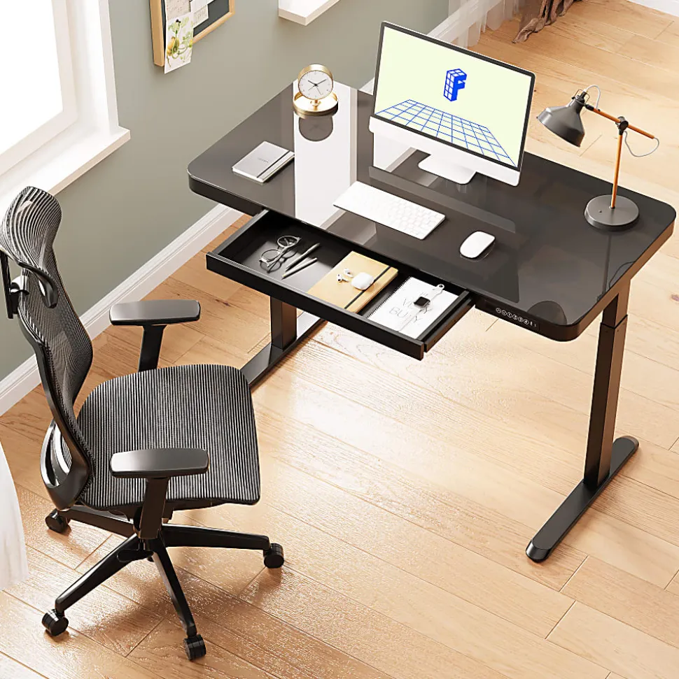 Flexispot EG9 48"W Electric Adjustable Height Standing Desk, Black