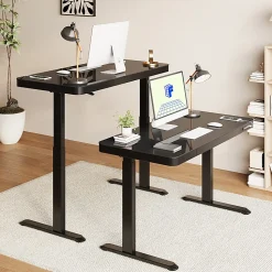Flexispot EG9 48