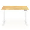 FlexiSpot E7 Pro Electric 55”W Adjustable Height Standing Desk, White/Bamboo