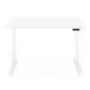 FlexiSpot E7 Pro Electric 55”W Adjustable Height Standing Desk, White