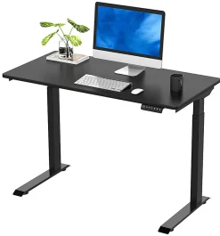 FlexiSpot E9 Quick-Install Metal Electric 48