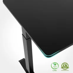 FlexiSpot E9 Quick-Install Metal Electric 48