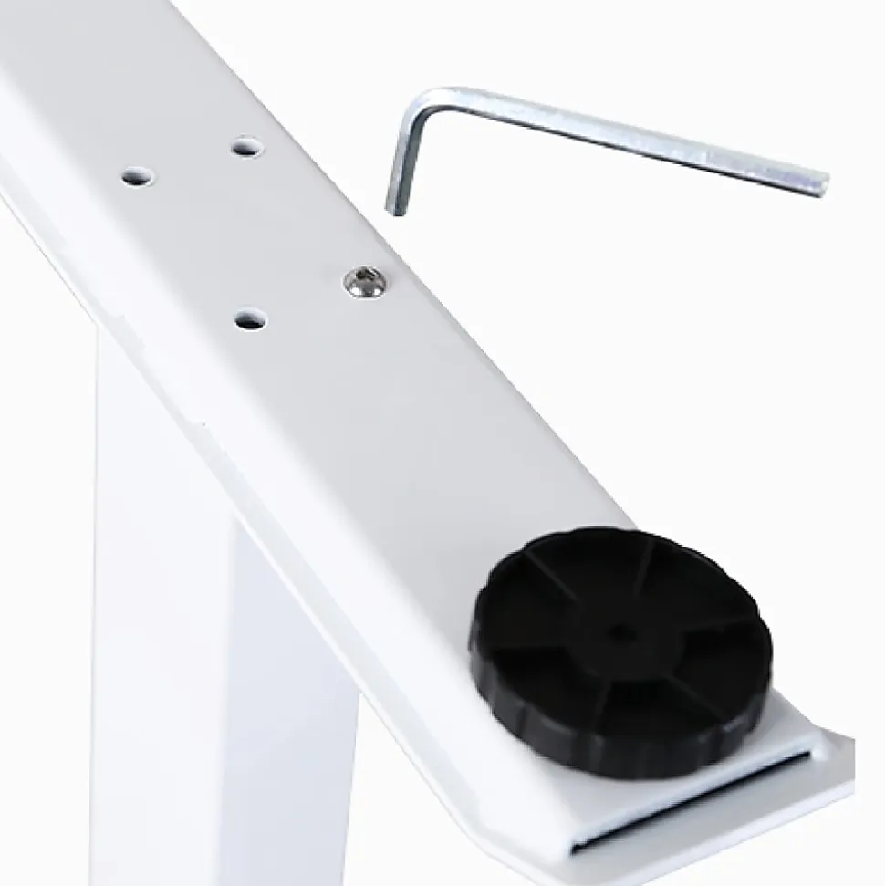 FlexiSpot E9 Quick-Install Metal Electric 48"W Height-Adjustable Standing Desk, White