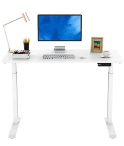 FlexiSpot E9 Quick-Install Metal Electric 48"W Height-Adjustable Standing Desk, White