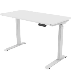 FlexiSpot E9 Quick-Install Metal Electric 48