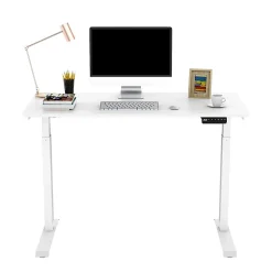 FlexiSpot E9 Quick-Install Metal Electric 48