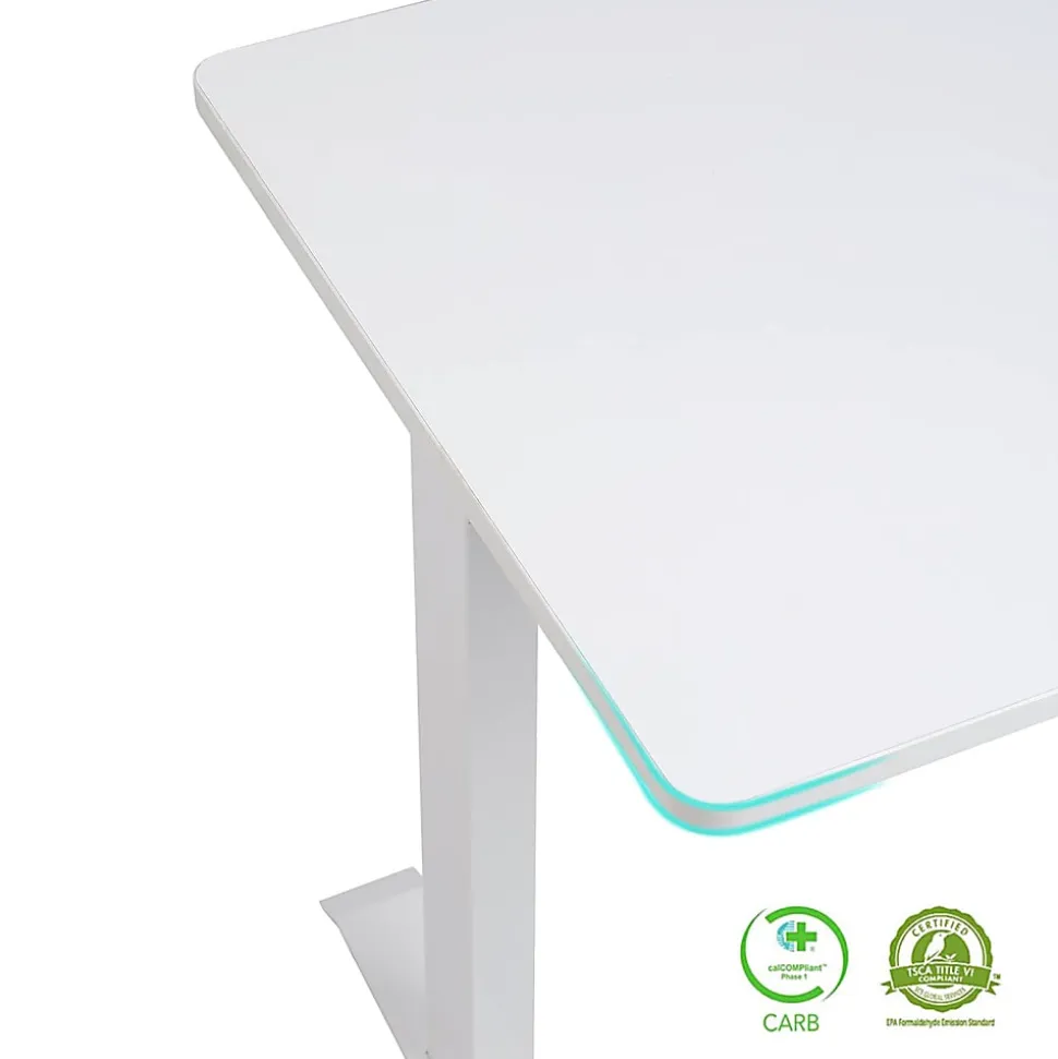 FlexiSpot E9 Quick-Install Metal Electric 48"W Height-Adjustable Standing Desk, White