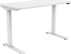 FlexiSpot Vici Electric 48