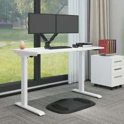 FlexiSpot Vici Electric 48