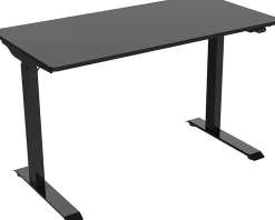FlexiSpot Vici Electric 48