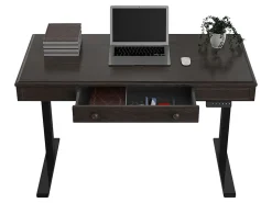 FlexiSpot 48