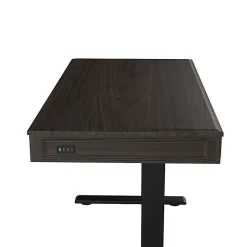 FlexiSpot 48