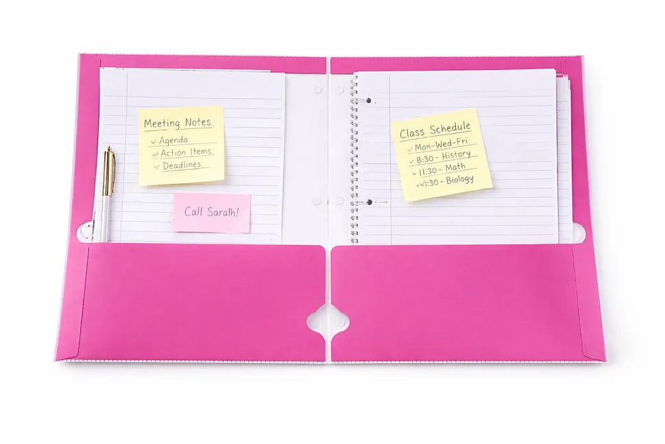 Gartner Studios Dual Pocket Folder, 9-1/4" x 11-1/2", Bow