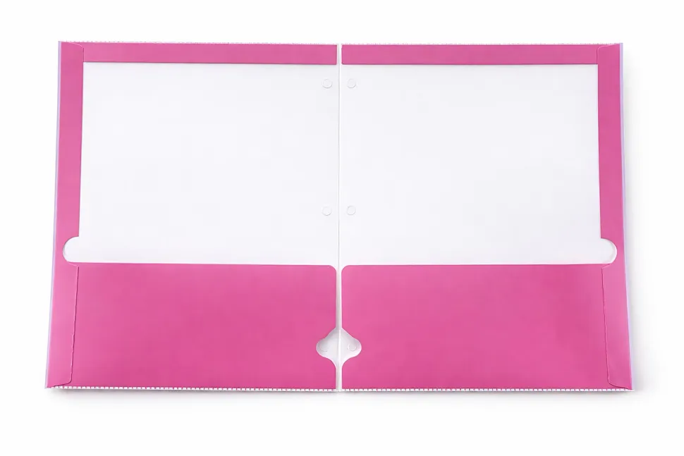 Gartner Studios Dual Pocket Folder, 9-1/4" x 11-1/2", Bow