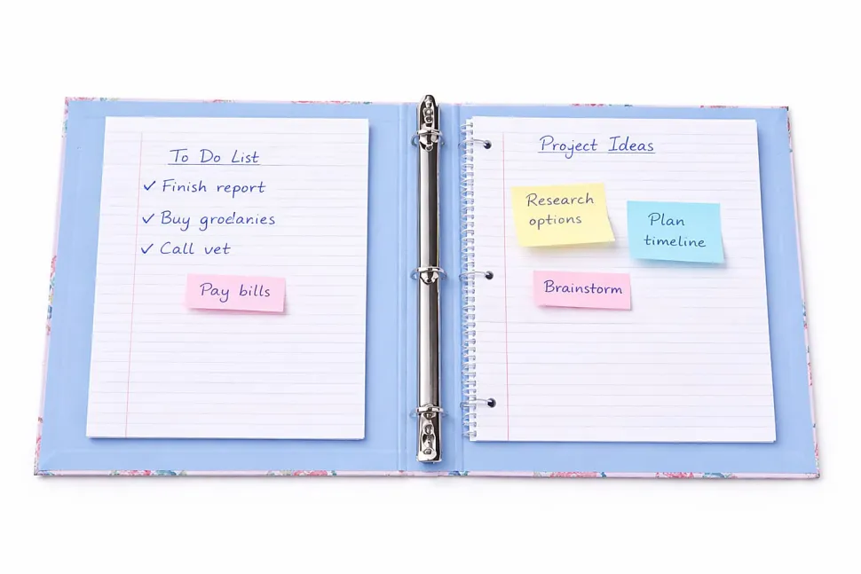 Gartner Studios 3-Ring Standard Style Binder, 1" Round Rings, Pink Bows & Blooms