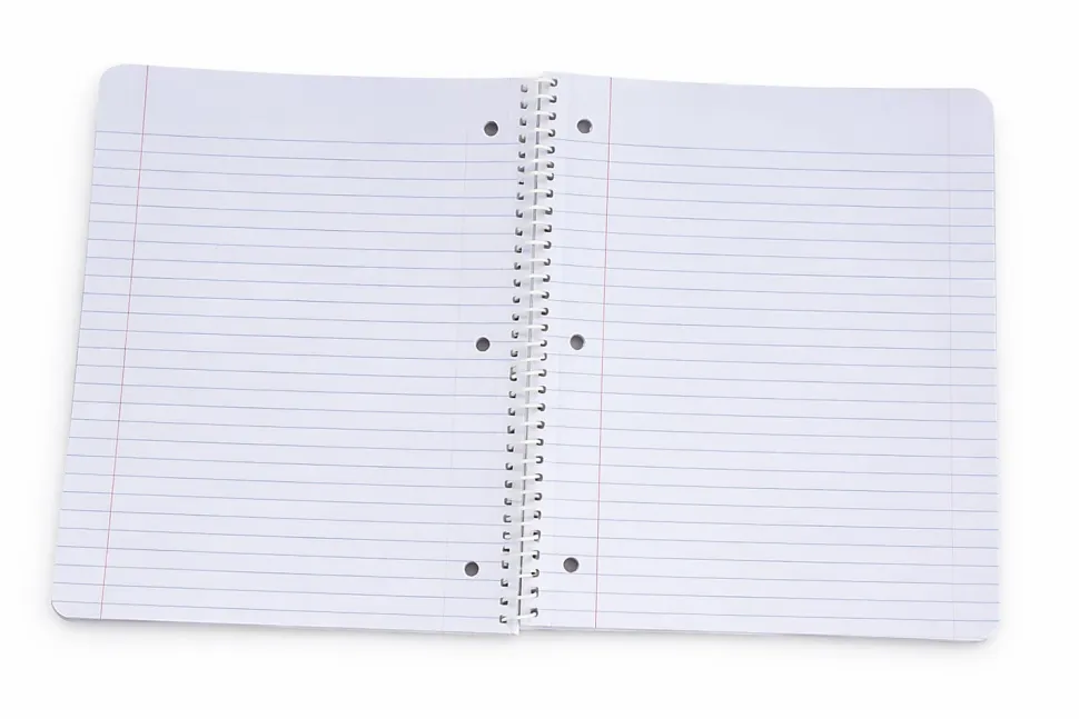 Gartner Studios Spiral Notebook, 8" x 10-1/2", 1 Subject, College Ruled, 70 Sheets, Bow
