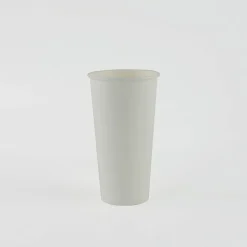 Genuine Joe 20 oz Disposable Hot Cups, 19051
