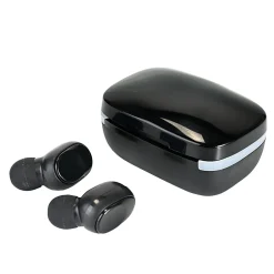 GNBI Earbuds With Charging Case, Black, 6642