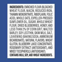 Grandma's® Blueberry Vanilla Mini Bites, 1 Oz, Total Qty 80