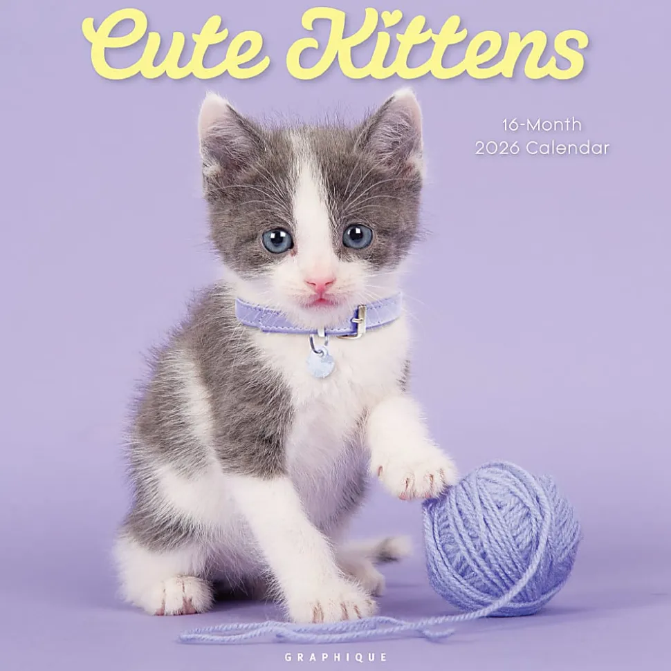 2026 Graphique Animals Monthly Wall Calendar, 12" x 12", Cute Kittens, January To December, CY97626