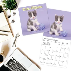 2026 Graphique Animals Monthly Wall Calendar, 12" x 12", Cute Kittens, January To December, CY97626