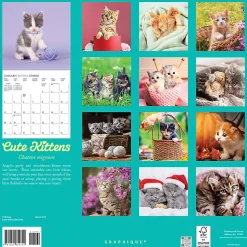2026 Graphique Animals Monthly Wall Calendar, 12