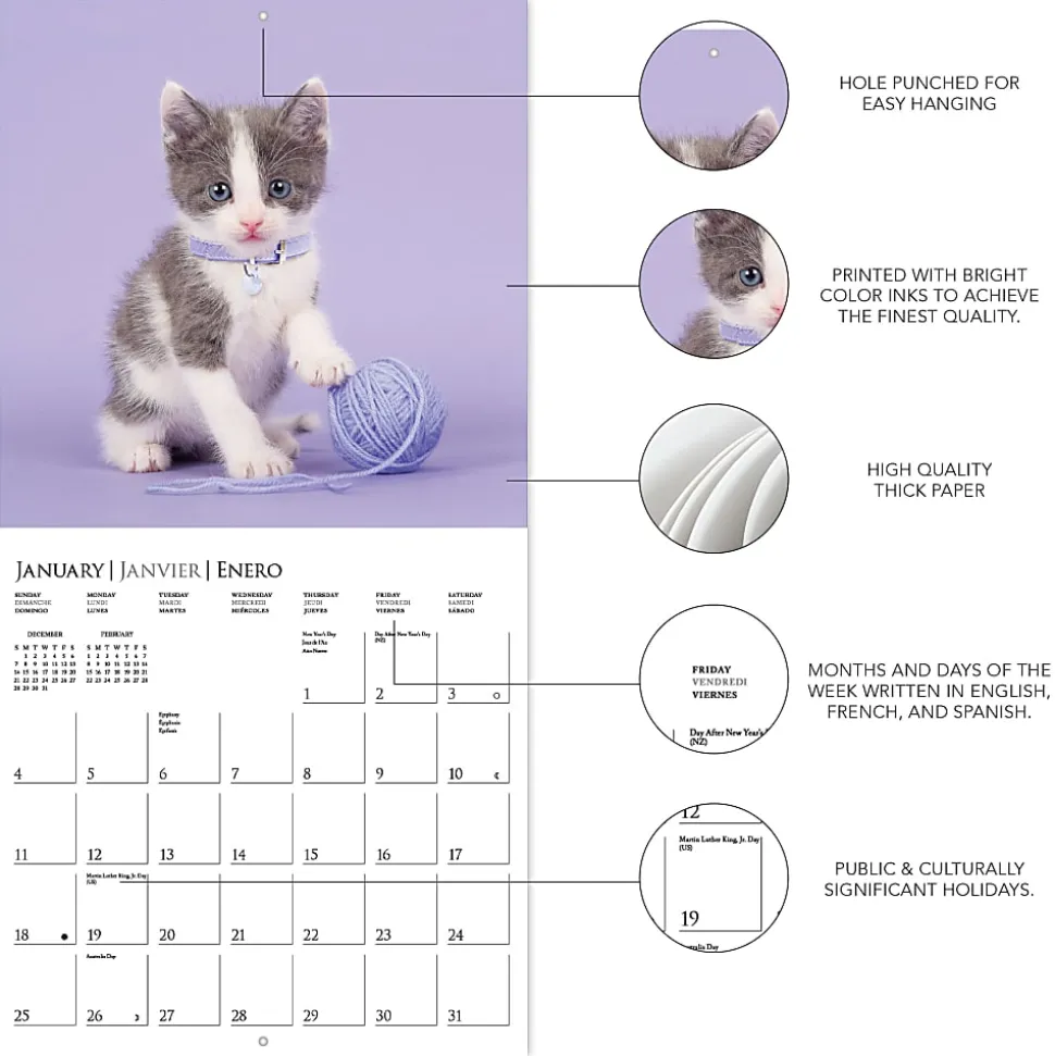 2026 Graphique Animals Monthly Wall Calendar, 12" x 12", Cute Kittens, January To December, CY97626