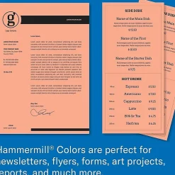 Hammermill® Colors Color Multi-Use Printer & Copy Paper, 10 Reams, Salmon, Letter (8.5" x 11"), 5000 Sheets Per Case, 20 Lb